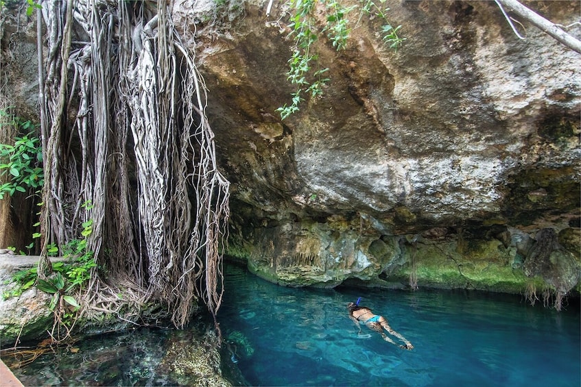Day Trip to Tulum & Cenote