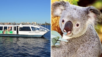 Combo: Swan River Cruise & Perth Zoo Admission