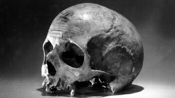 Hobart's Dark Past Walking Tour