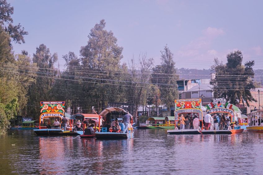 Combo: Teotihuacan & Guadalupe Shrine + Xochimilco, Coyoacan & Frida Kahlo 