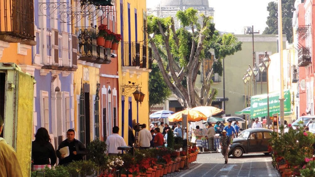 Vibrant street view of Mexico  City 