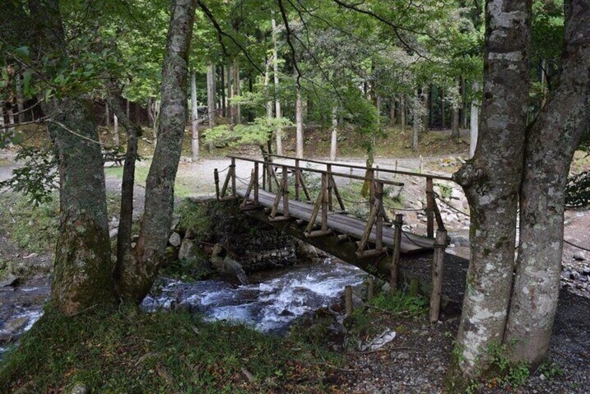 Natural paths of the Sila National Park