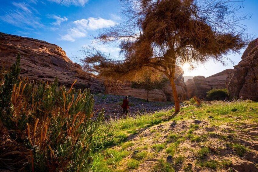 The Adventure Trail AlUla