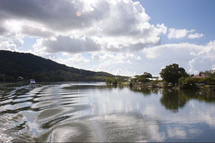 Tweed River and Rainforest lunch Cruise