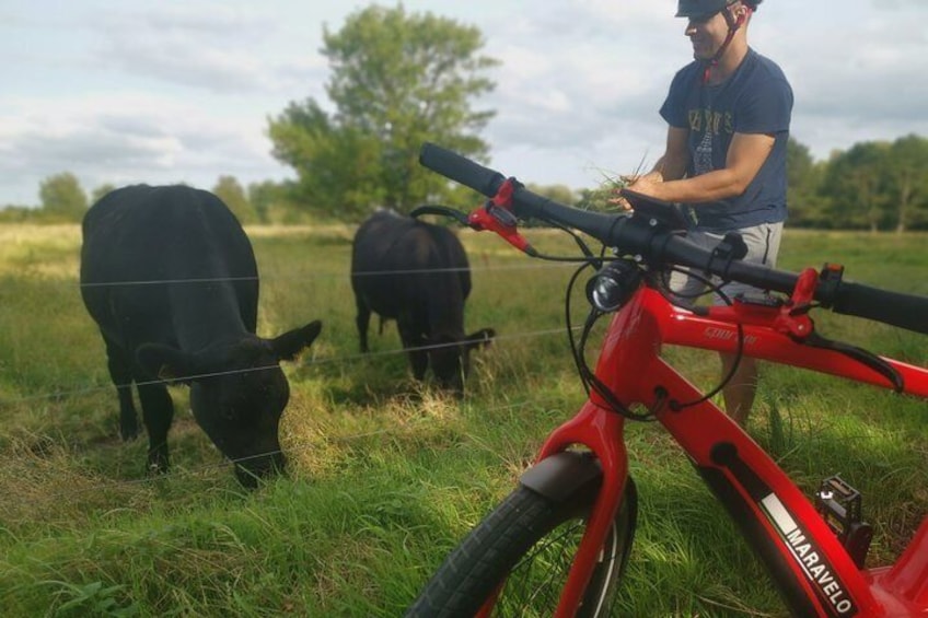 Mr. Bull and his wife 