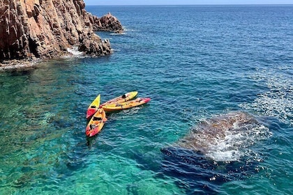 10hr Barcelona Day Trip: Kayak & Snorkel Costa Brava + Lunch, Beach time, P...