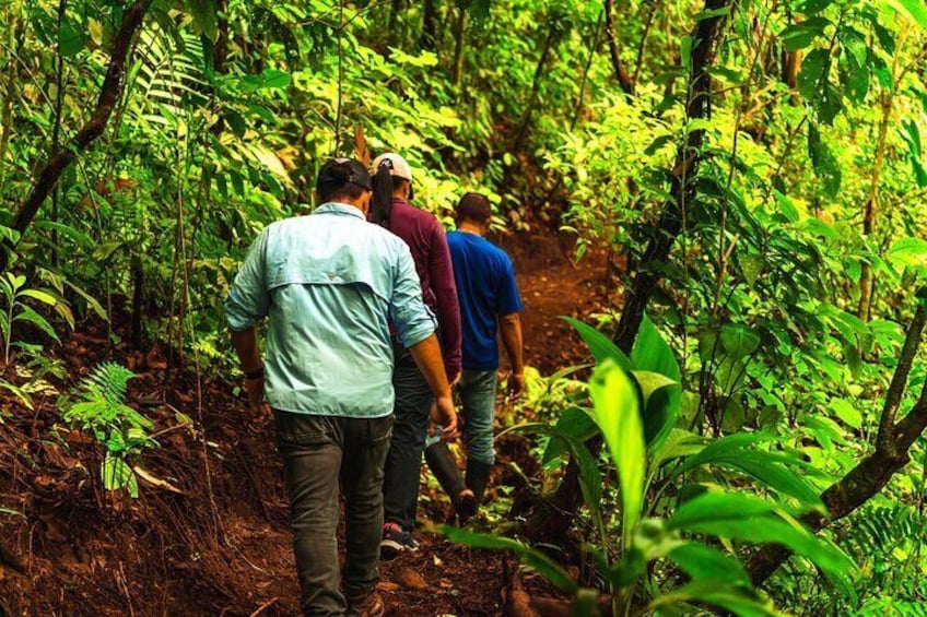 Views Of heaven at Arenal Volcano $ Lake