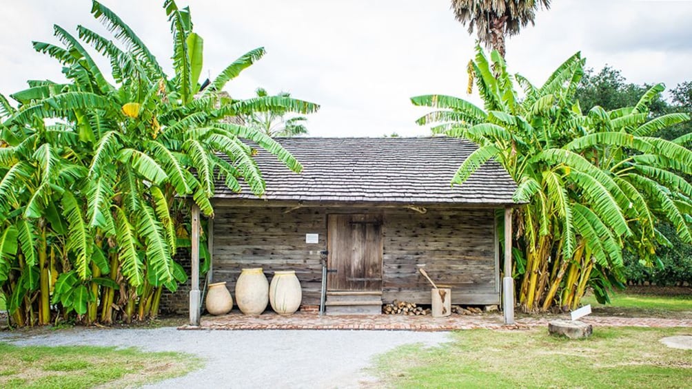 wooden plantation cabin surrounded by trees in New Orleans