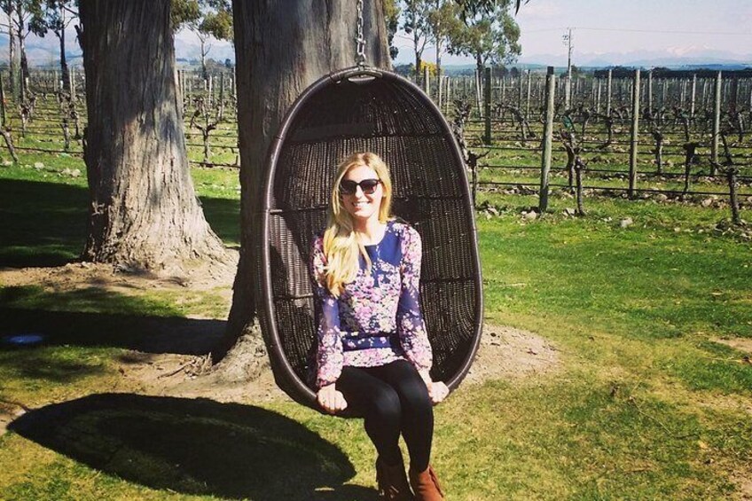 Relax in a swing chair at the Cloudy Bay vineyard winery