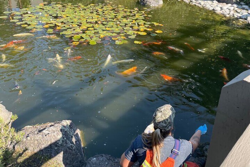 Feeding time at Kasugai Gardens is always a sight to behold!