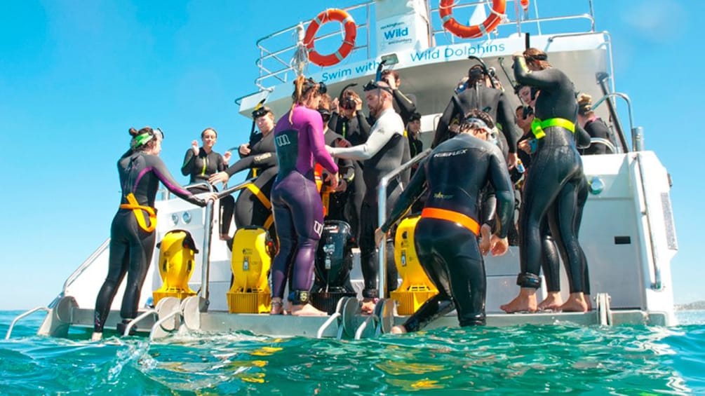 people ready for swimming from boat