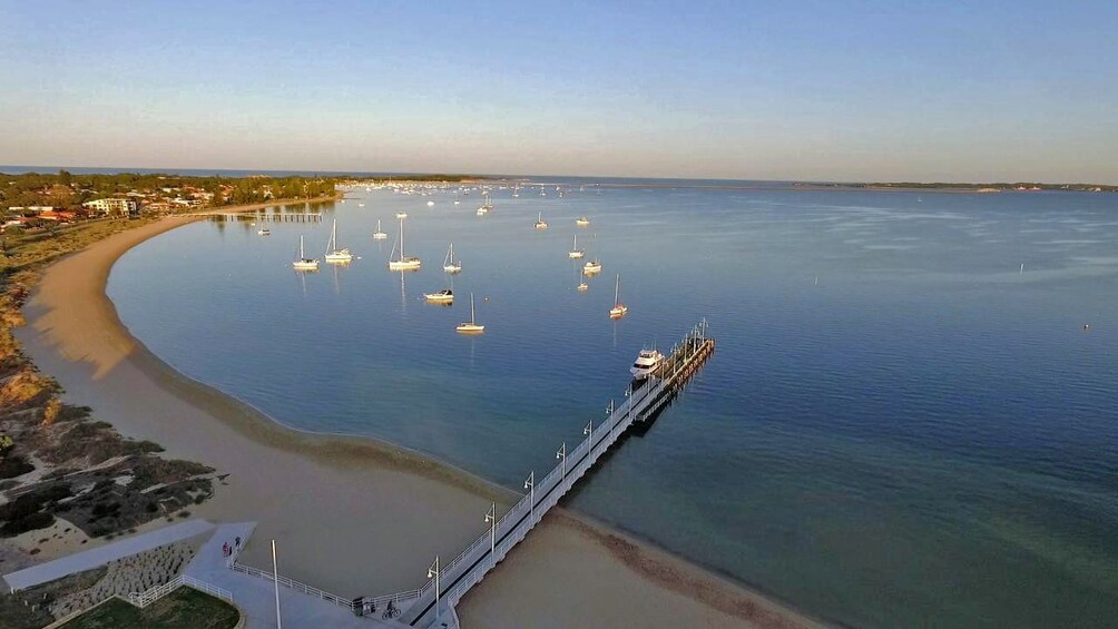 aerial view of coast