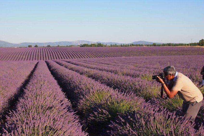 Sunset Tour in the Valensole plateau with pickup from Marseille