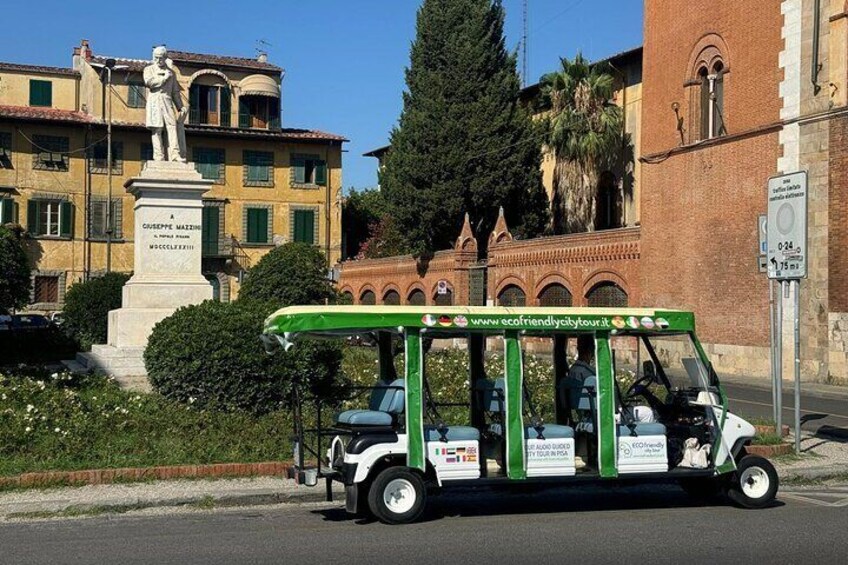 Electric Golf Cart