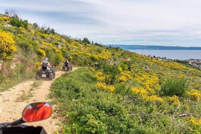 Quad ATV Half-Day Mountain Adventure from Split