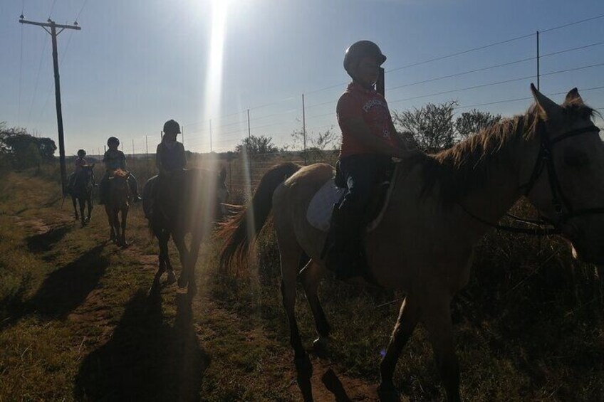 Farm Witpoort 2 Hour Horse Riding Trail