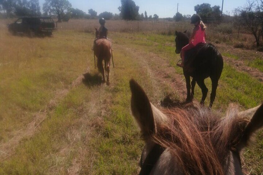 Guided 2 Hour Farm Horse Trail