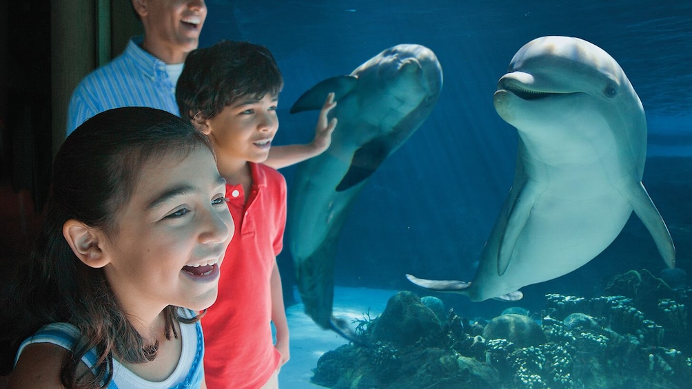 Go San Antonio Explorer pass: Choose 3 or 5 attractions