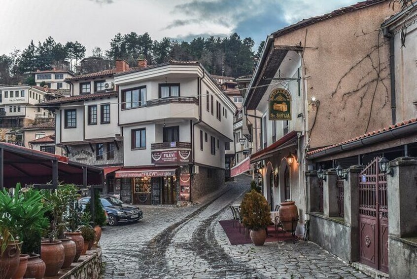 Private Day Tour to Ohrid and St. Naum from Skopje