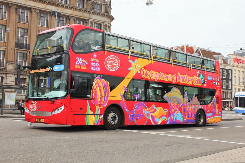 Amsterdam Hop-On Hop-Off Bus & Optional Canal Cruise 