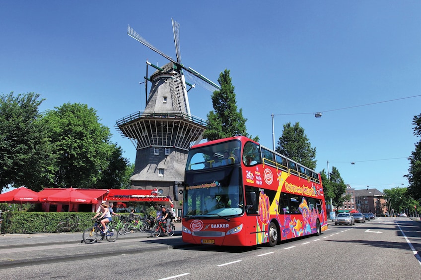 Amsterdam Hop-On Hop-Off Bus & Optional Canal Cruise