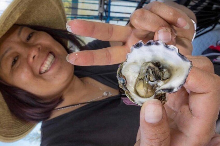 Our guests rocking it with the Sydney rock oysters!