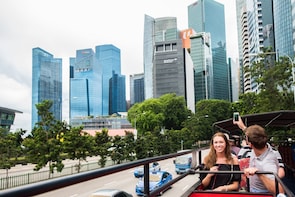 Singapore Shore Excursion: Hop-On Hop-Off Bus Tour