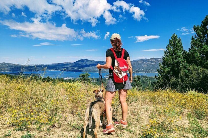 Private Hike in Big Bear with Lake Swimming Experience