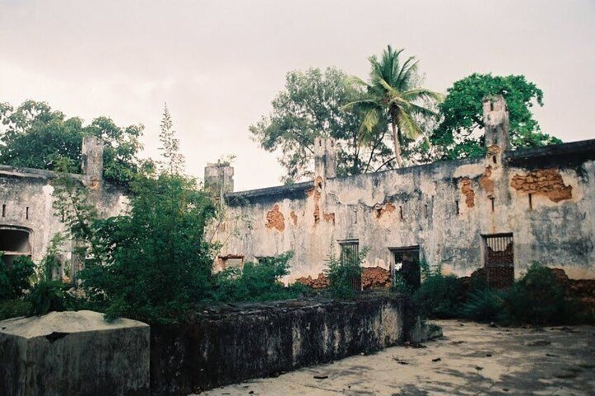 Prison Island Half-Day Tour from Zanzibar