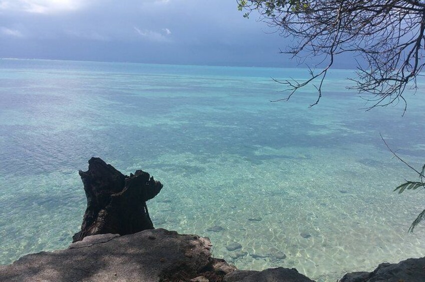 Prison Island Half-Day Tour from Zanzibar