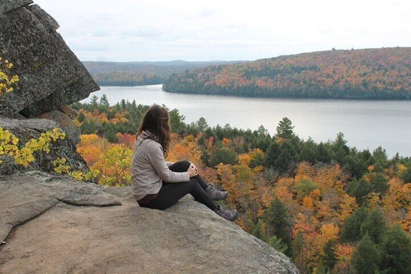 Fall Colors in Algonquin