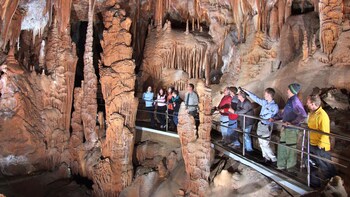 Jenolan Caves & Blue Mountains Day Trip