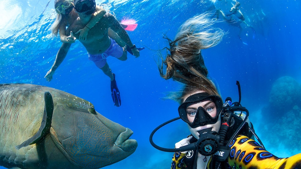 Full-Day Outer Great Barrier Reef Cruise & Snorkeling Tour