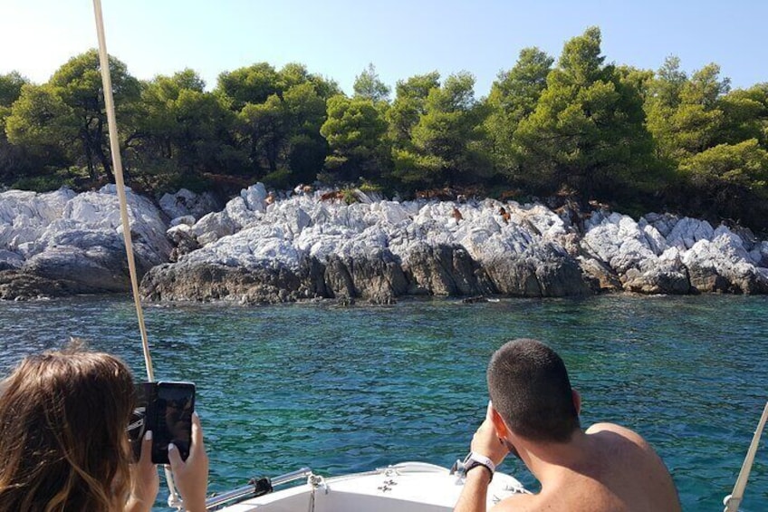Skopelos, Skiathos, Alonissos and "Mamma Mia" tours
