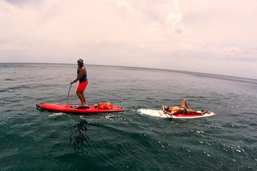 Step Paddle Rental Guadeloupe