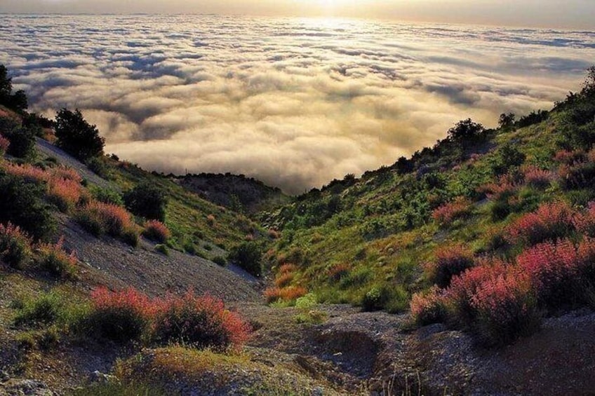 Deir el Qamar - Beiteddine Palace - Chouf Cedars Hike Tour