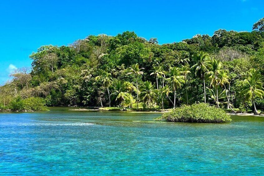 Full-Day Sailing to Beautiful Caribbean Beaches on Catamaran with Lunch