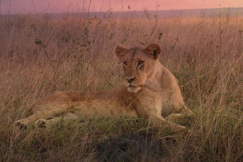 Lake Nakuru National Park