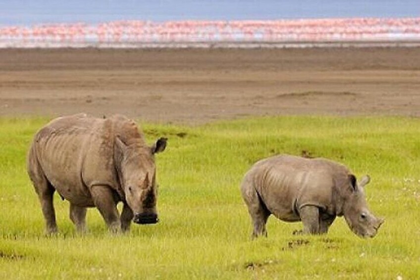 Lake Nakuru National Park