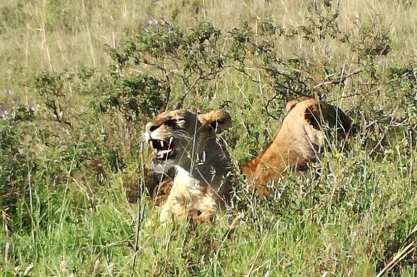 Lake Nakuru National Park