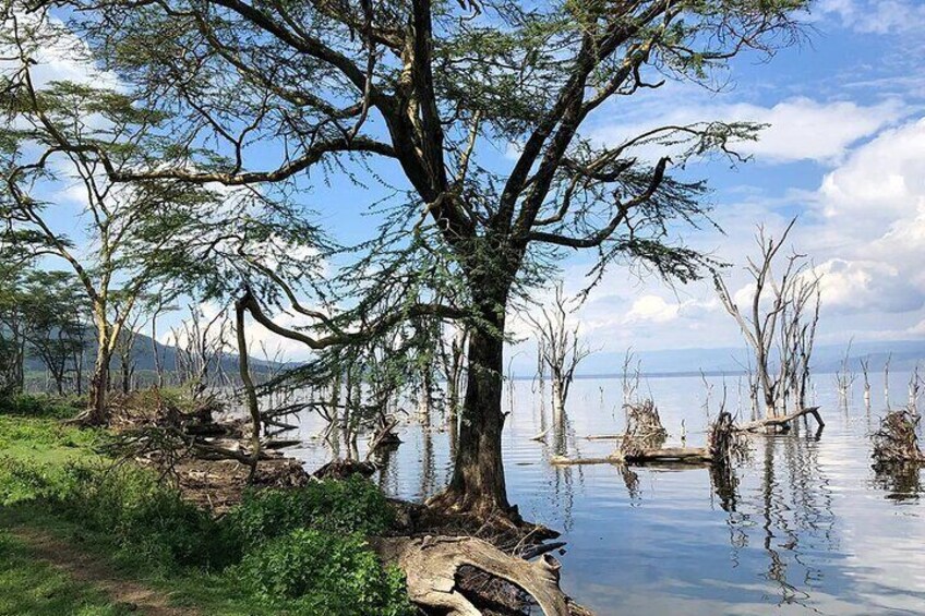 Lake Nakuru National Park