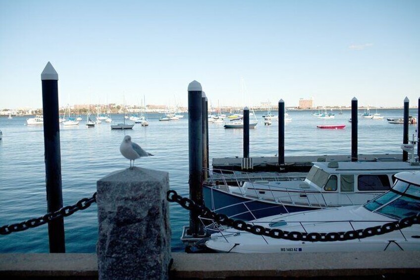 Boston harbor