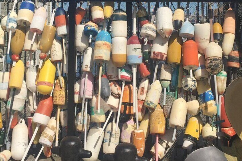 Bouys of Boston