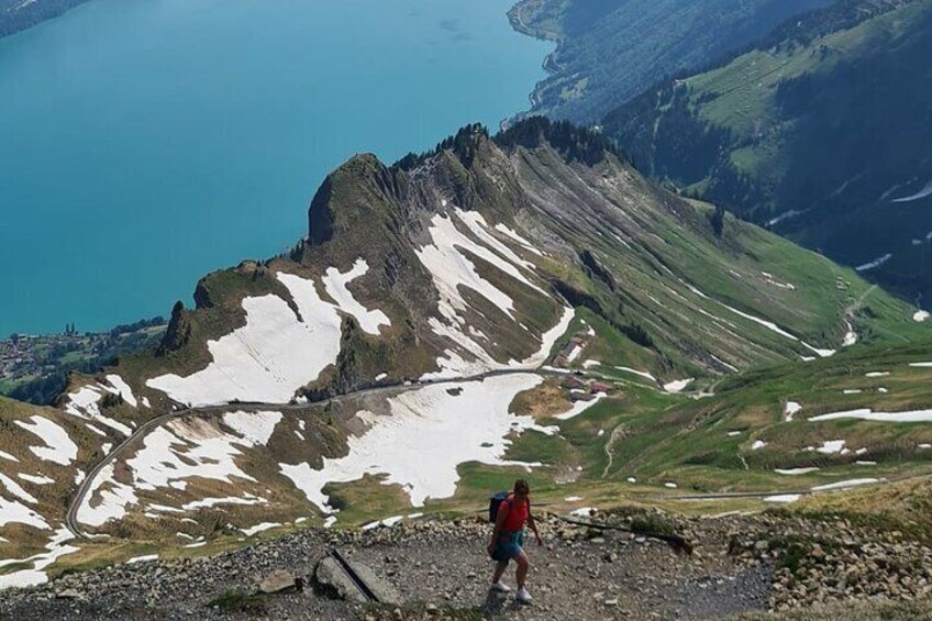 Private Tour to Bernese Alps with Steam Train and Lake Cruise