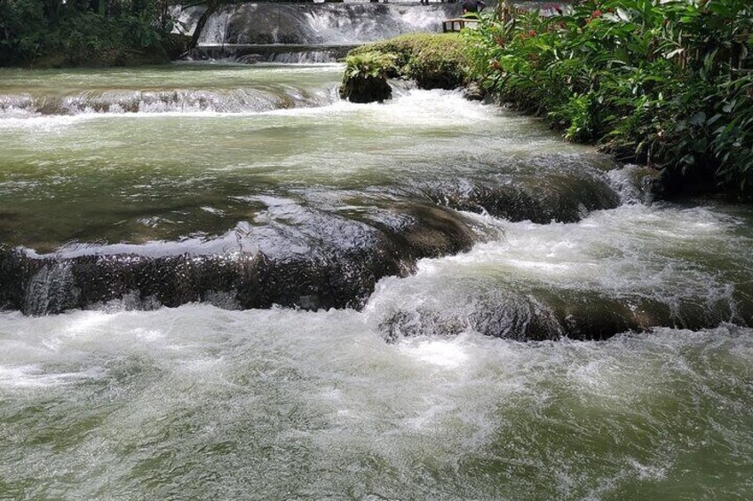 Private Tour to YS Falls and Pelican Bar from Montego Bay