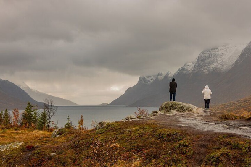 Tour of the authentic fjords of Kvaløya to Sommarøy