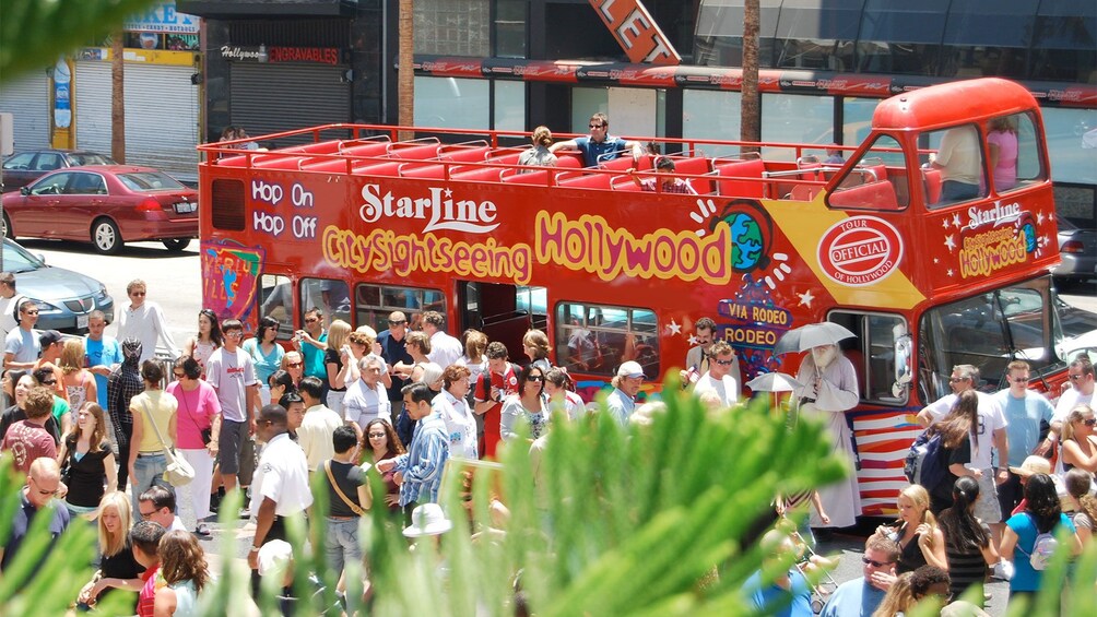 Panoramic view of the LA Hop-on Hop-off tour