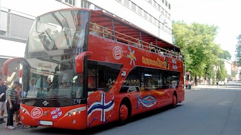 Shore Excursion: Bergen Hop-on Hop-off Tour