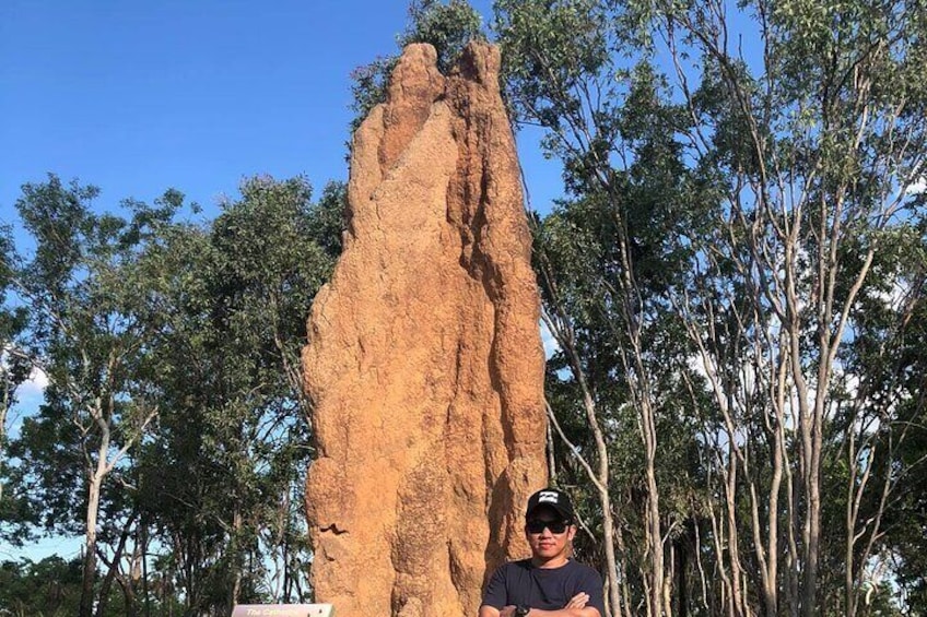Giant Termite