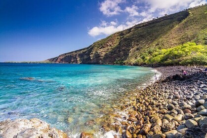 Kealakekua Bay and Captain Cook Monument Snorkel - Small-Group Experience